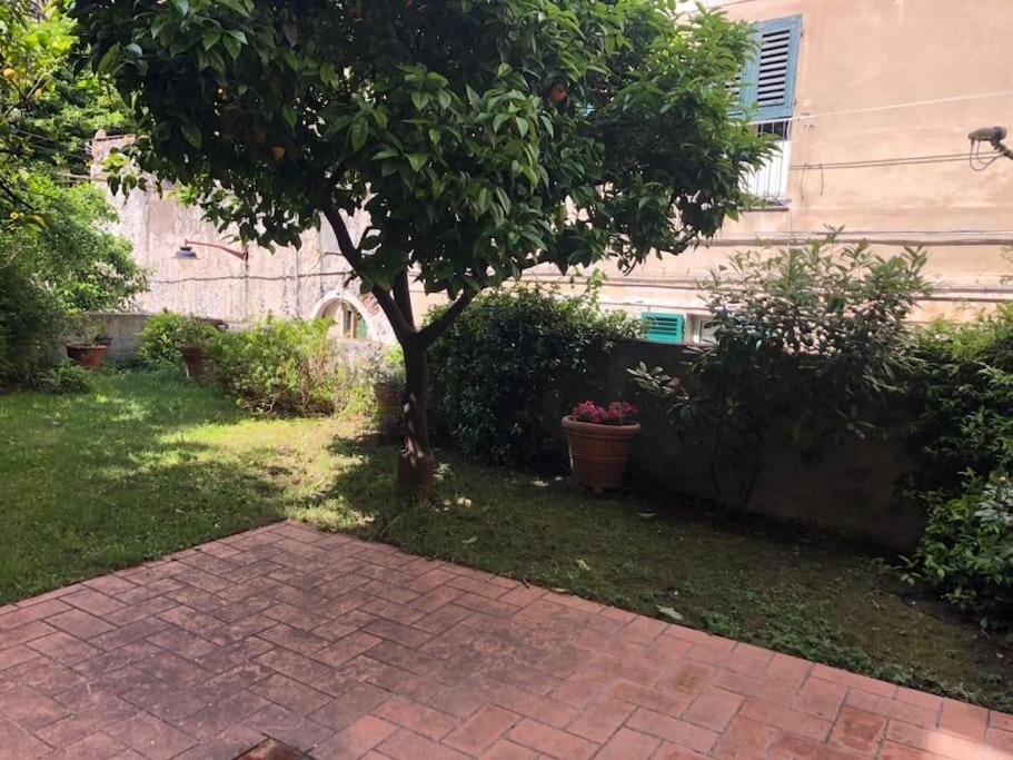 Appartement Pet-friendly Nel Centro Storico Di *